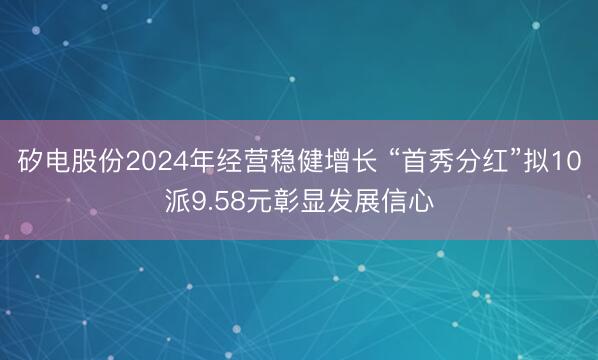 矽电股份2024年经营稳健增长 “首秀分红”拟10派9.58元彰显发展信心