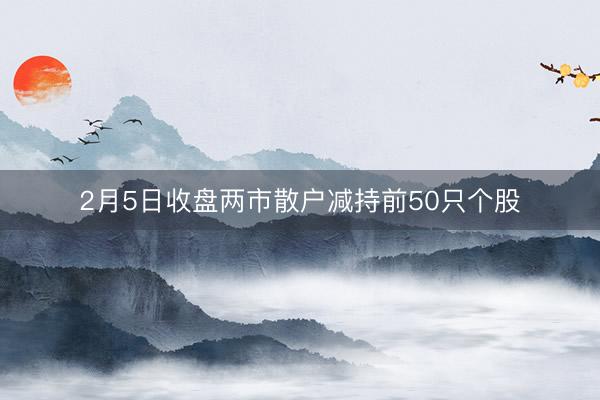 2月5日收盘两市散户减持前50只个股