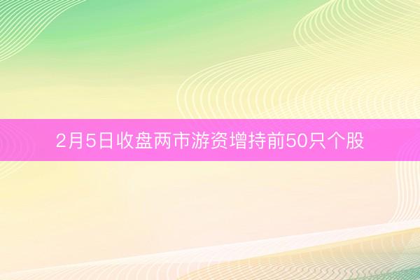 2月5日收盘两市游资增持前50只个股