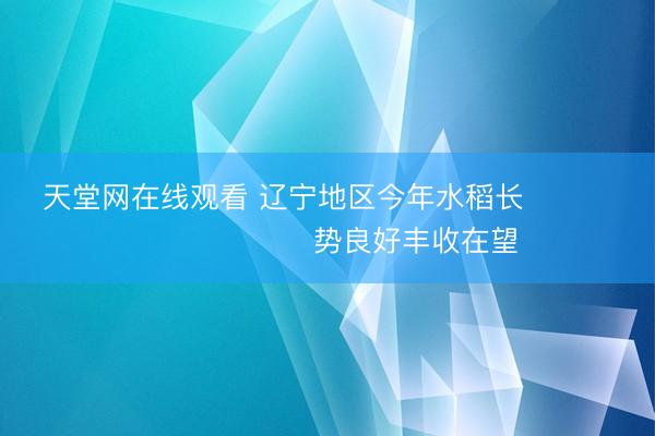 天堂网在线观看 辽宁地区今年水稻长​​​​​​​​​​势良好丰收在望