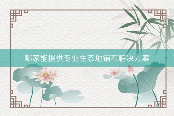 哪家能提供专业生态地铺石解决方案