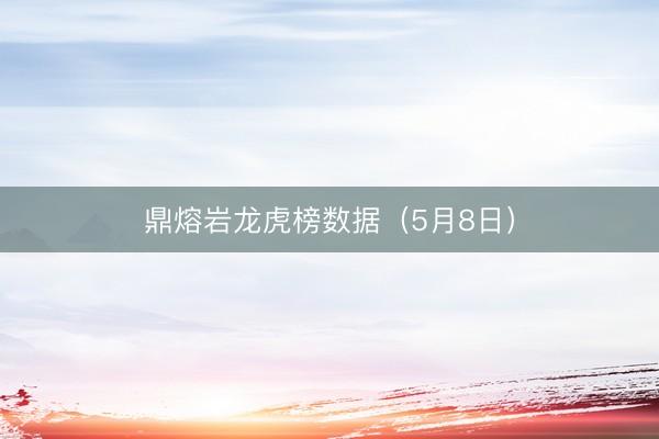 鼎熔岩龙虎榜数据（5月8日）