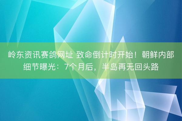 岭东资讯赛鸽网址 致命倒计时开始！朝鲜内部细节曝光：7个月后，半岛再无回头路