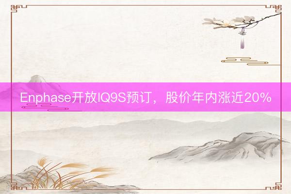 Enphase开放IQ9S预订，股价年内涨近20%