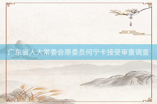 广东省人大常委会原委员何宁卡接受审查调查