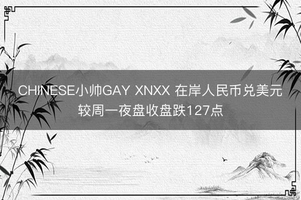 CHINESE小帅GAY XNXX 在岸人民币兑美元较周一夜盘收盘跌127点