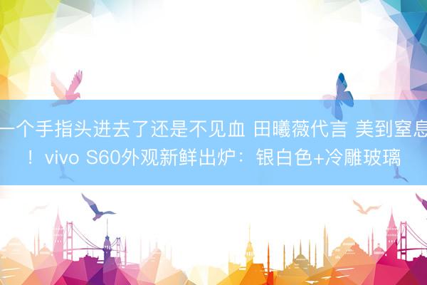 一个手指头进去了还是不见血 田曦薇代言 美到窒息！vivo S60外观新鲜出炉：银白色+冷雕玻璃
