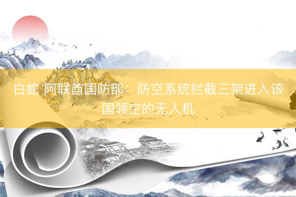 白蛇 阿联酋国防部：防空系统拦截三架进入该国领空的无人机
