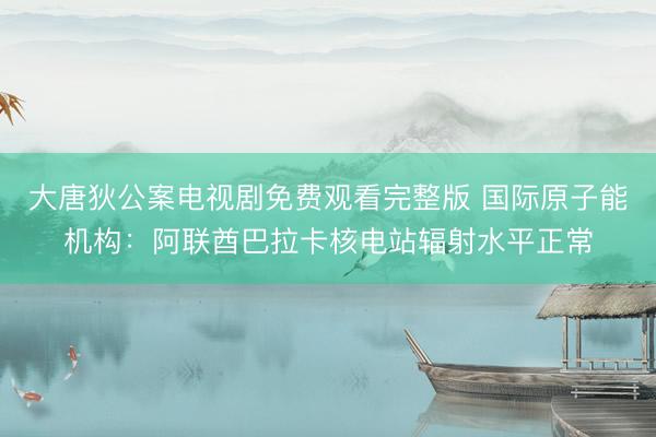 大唐狄公案电视剧免费观看完整版 国际原子能机构：阿联酋巴拉卡核电站辐射水平正常