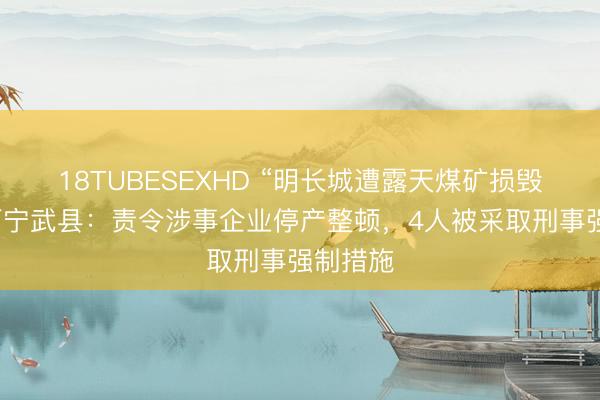 18TUBESEXHD “明长城遭露天煤矿损毁”，山西宁武县：责令涉事企业停产整顿，4人被采取刑事强制措施