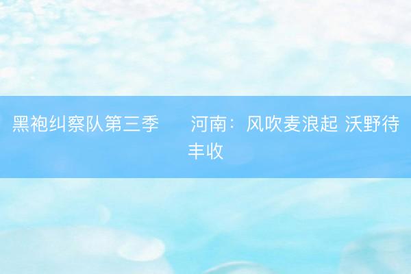 黑袍纠察队第三季 ​ 河南：风吹麦浪起 沃野待丰收