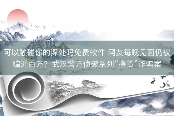 可以触碰你的深处吗免费软件 网友每晚见面仍被骗近百万？武汉警方侦破系列“撸货”诈骗案
