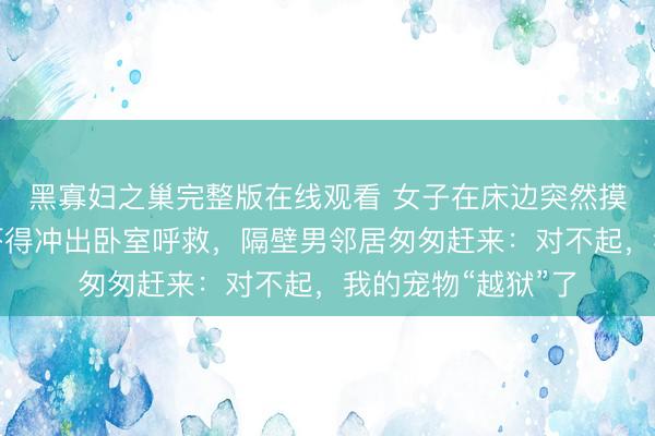 黑寡妇之巢完整版在线观看 女子在床边突然摸到金黄色长蛇，吓得冲出卧室呼救，隔壁男邻居匆匆赶来：对不起，我的宠物“越狱”了