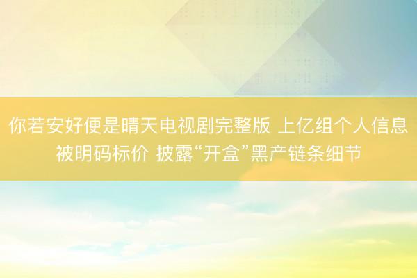 你若安好便是晴天电视剧完整版 上亿组个人信息被明码标价 披露“开盒”黑产链条细节