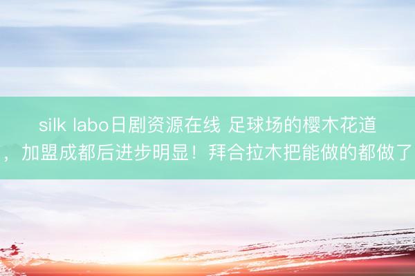 silk labo日剧资源在线 足球场的樱木花道，加盟成都后进步明显！拜合拉木把能做的都做了