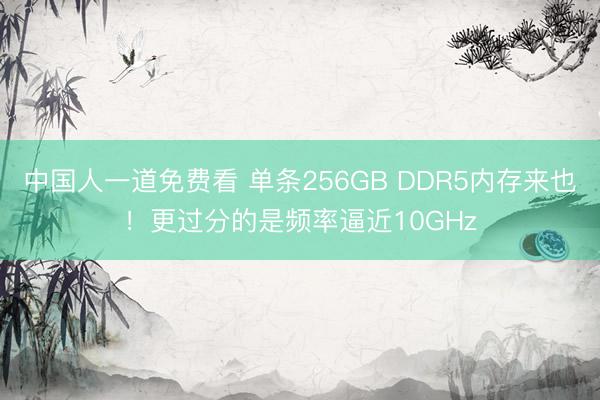 中国人一道免费看 单条256GB DDR5内存来也！更过分的是频率逼近10GHz