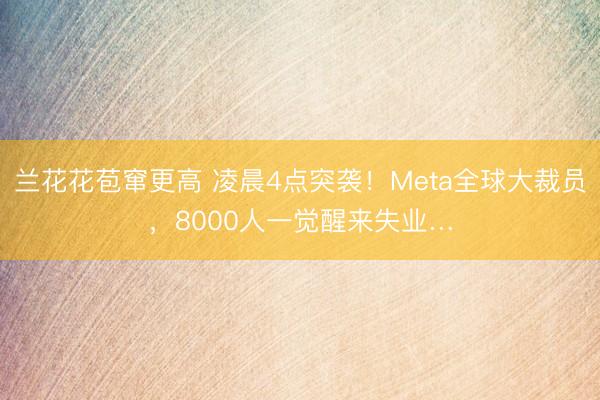 兰花花苞窜更高 凌晨4点突袭！Meta全球大裁员，8000人一觉醒来失业…