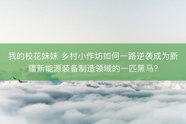 我的校花妹妹 乡村小作坊如何一路逆袭成为新疆新能源装备制造领域的一匹黑马？