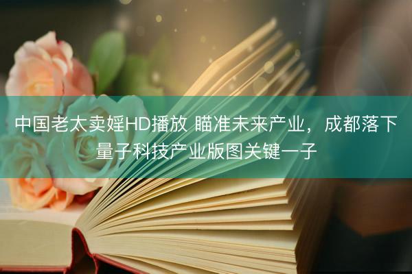 中国老太卖婬HD播放 瞄准未来产业，成都落下量子科技产业版图关键一子