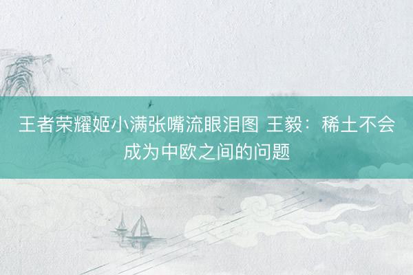 王者荣耀姬小满张嘴流眼泪图 王毅：稀土不会成为中欧之间的问题