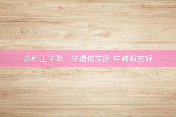 苏州工学院：非遗传文脉 中韩叙友好