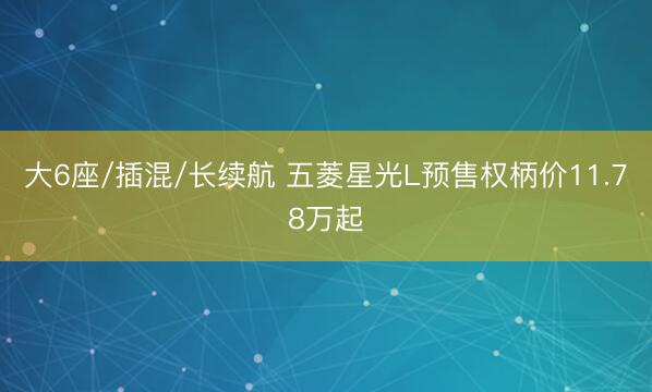 大6座/插混/长续航 五菱星光L预售权柄价11.78万起