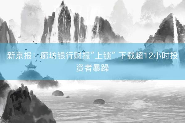 新京报：廊坊银行财报”上锁” 下载超12小时投资者暴躁