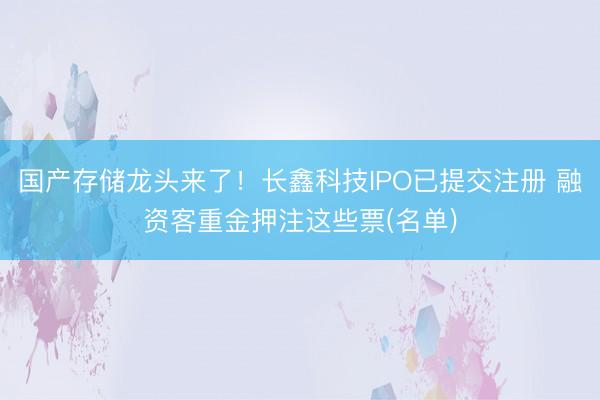 国产存储龙头来了！长鑫科技IPO已提交注册 融资客重金押注这些票(名单)