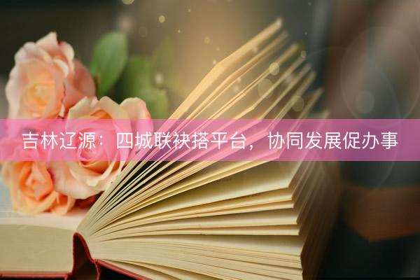 吉林辽源：四城联袂搭平台，协同发展促办事