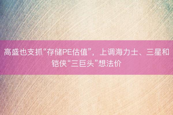 高盛也支抓“存储PE估值”，上调海力士、三星和铠侠“三巨头”想法价