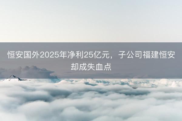 恒安国外2025年净利25亿元，子公司福建恒安却成失血点