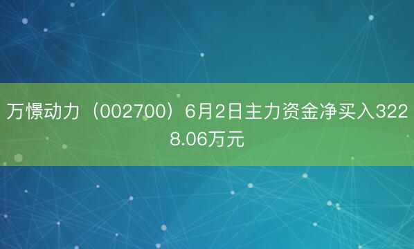 万憬动力（002700）6月2日主力资金净买入3228.06万元