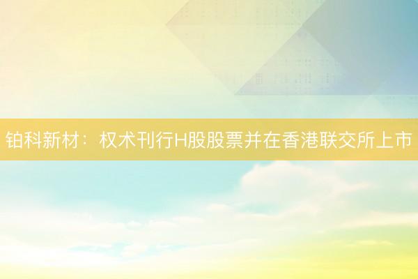 铂科新材：权术刊行H股股票并在香港联交所上市