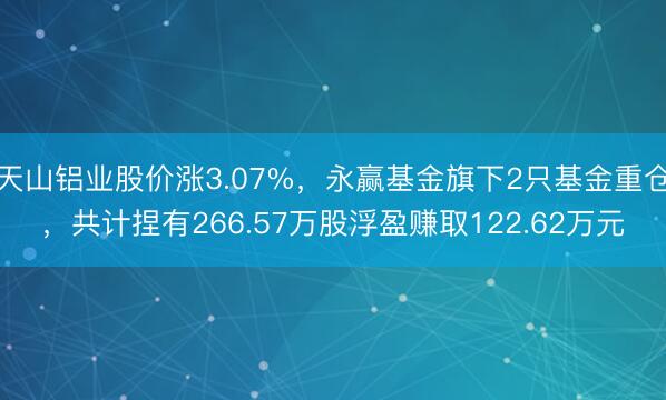 天山铝业股价涨3.07%，永赢基金旗下2只基金重仓，共计捏有266.57万股浮盈赚取122.62万元