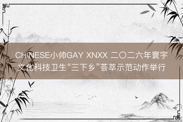 CHINESE小帅GAY XNXX 二〇二六年寰宇文化科技卫生“三下乡”荟萃示范动作举行