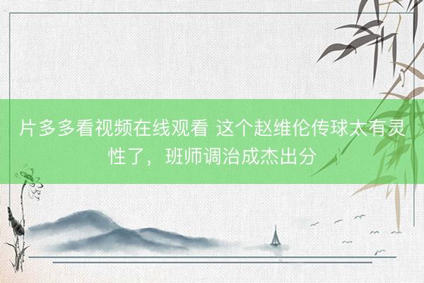 片多多看视频在线观看 这个赵维伦传球太有灵性了，班师调治成杰出分