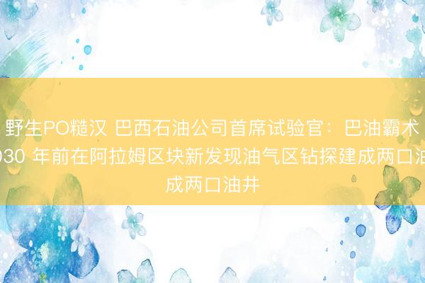 野生PO糙汉 巴西石油公司首席试验官：巴油霸术 2030 年前在阿拉姆区块新发现油气区钻探建成两口油井