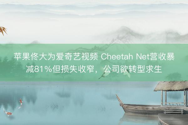 苹果佟大为爱奇艺视频 Cheetah Net营收暴减81%但损失收窄，公司欲转型求生