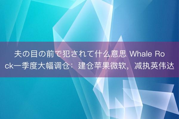 夫の目の前で犯されて什么意思 Whale Rock一季度大幅调仓：建仓苹果微软，减执英伟达