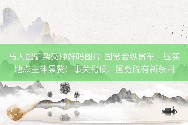 马人配驴杂交种好吗图片 国常会纵贯车｜压实地点主体累赘！事关化债，国务院有新条目