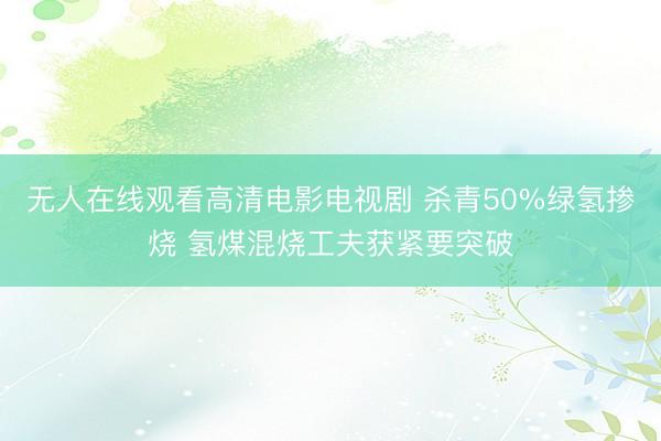 无人在线观看高清电影电视剧 杀青50%绿氢掺烧 氢煤混烧工夫获紧要突破