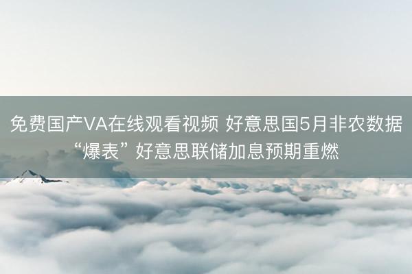 免费国产VA在线观看视频 好意思国5月非农数据“爆表” 好意思联储加息预期重燃