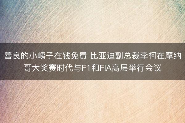 善良的小峓子在钱免费 比亚迪副总裁李柯在摩纳哥大奖赛时代与F1和FIA高层举行会议