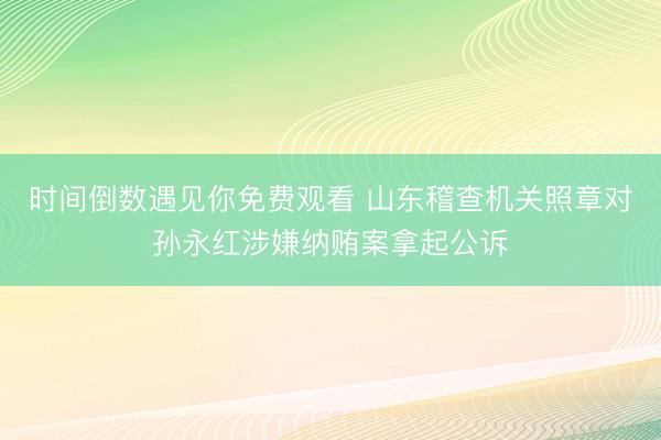时间倒数遇见你免费观看 山东稽查机关照章对孙永红涉嫌纳贿案拿起公诉