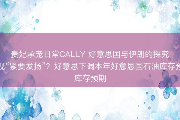 贵妃承宠日常CALLY 好意思国与伊朗的探究出现“紧要发扬”？好意思下调本年好意思国石油库存预期