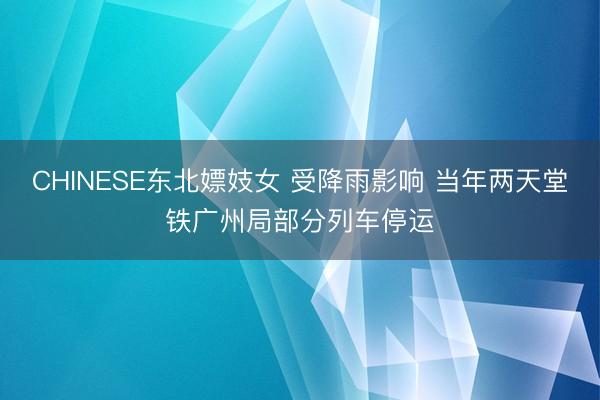 CHINESE东北嫖妓女 受降雨影响 当年两天堂铁广州局部分列车停运