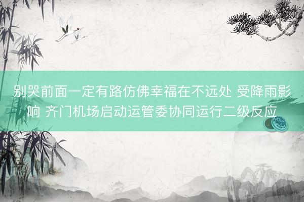 别哭前面一定有路仿佛幸福在不远处 受降雨影响 齐门机场启动运管委协同运行二级反应