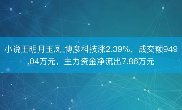 小说王明月玉凤 博彦科技涨2.39%，成交额949.04万元，主力资金净流出7.86万元