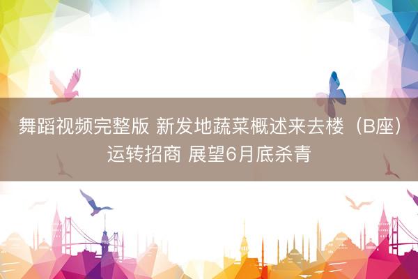 舞蹈视频完整版 新发地蔬菜概述来去楼（B座）运转招商 展望6月底杀青