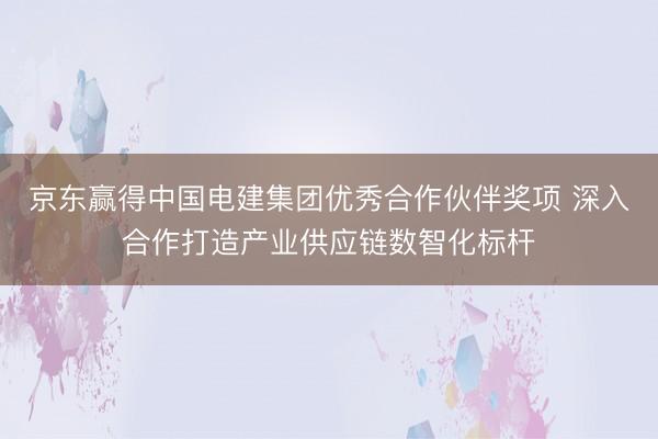 京东赢得中国电建集团优秀合作伙伴奖项 深入合作打造产业供应链数智化标杆